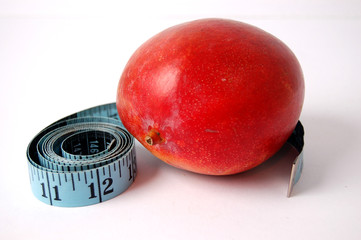 best diet