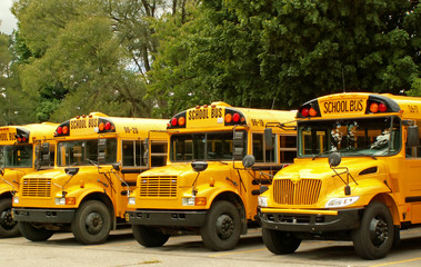 school buses