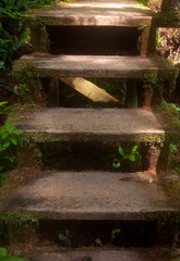 Fototapeta premium stairs