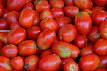 tomates olive