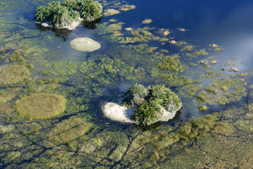 iles dans le delta de l'okavango