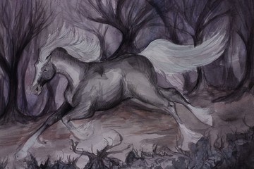 lonely horse