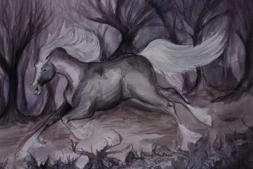 Papier peint Léquitation lonely horse