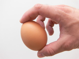 egg in hand