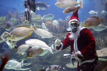 santa clause feeding fishes