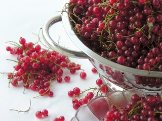red sour currants