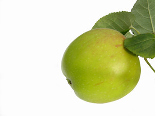 apple