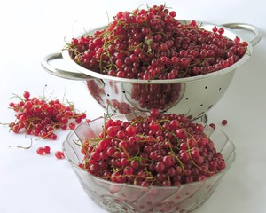 red currants on strainer