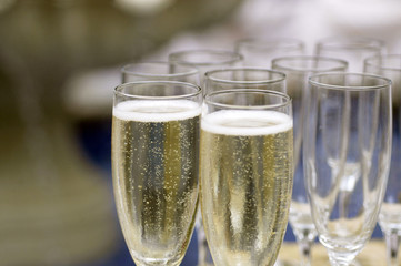 flutes of champagne
