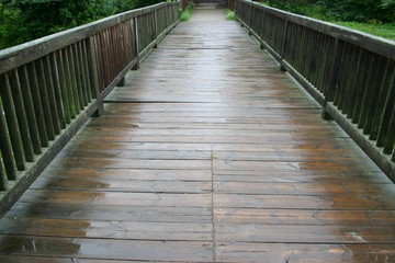 Obraz premium wet bridge