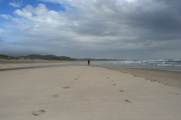 fisherman in the horizon