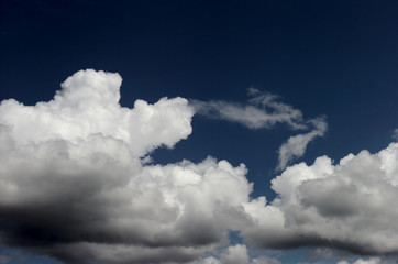 blue cloud