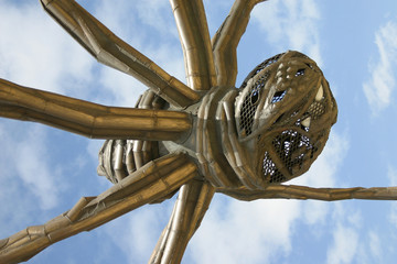 spinnenartige in bilbao