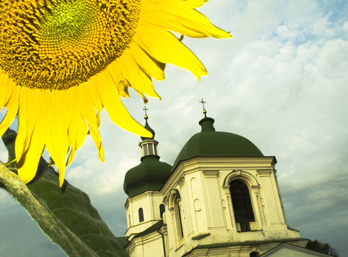 we must go to the sun