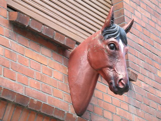 pferdekopf an der hauswand