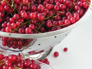 red currants