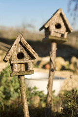 bird houses in sunshine