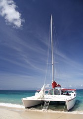 sailing in paradise