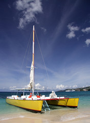 sailing in paradise
