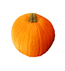 pumpkin on white