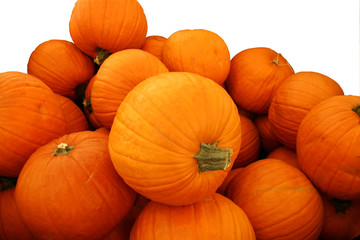 pumpkin pile isolated on white