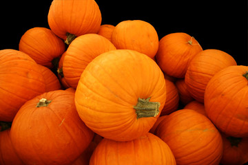 pumpkin pile isolated on black