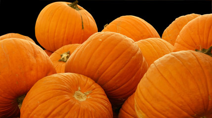 pumpking pile 2 black bg