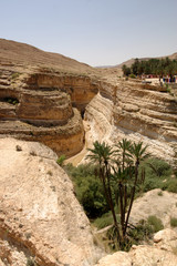 vue d'un canyon dans le sud tunisien