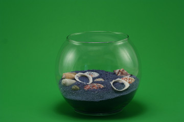 sea shell in jar