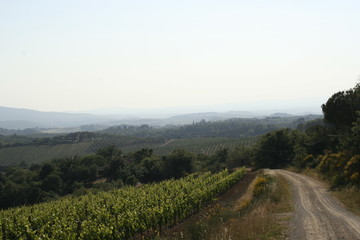 road to tuscany