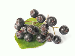 berry