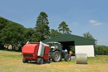 harvest time