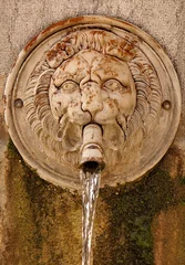 Printed kitchen splashbacks Fountain fontaine lion