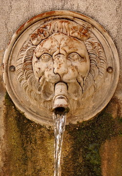 fontaine lion
