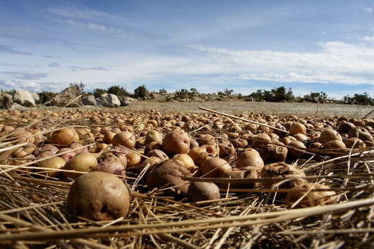 paysage de l ile du soleil