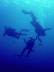 Fototapeta na wymiar Rescue Diver