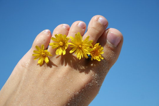 fingers