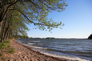 seashore scene