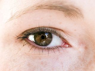 Obraz premium macro - human eye