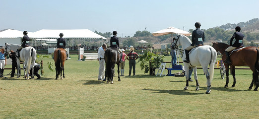 show horse jumpers waiting