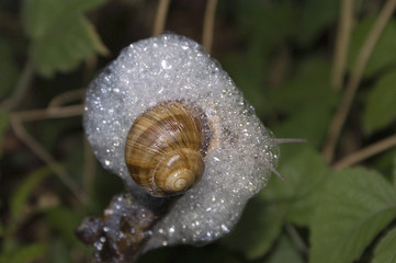 bla bla bla, je bave sur tout le monde.