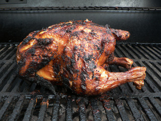 grilled - chicken on the grill