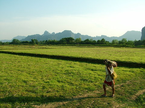 paysage, laos