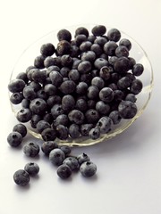 large blueberries