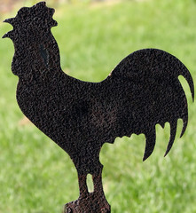metal rooster silhouette