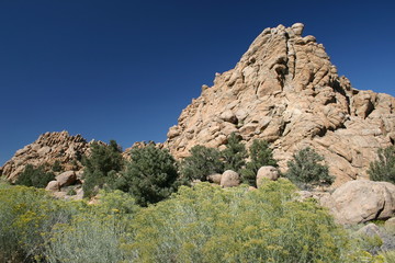 zion butte