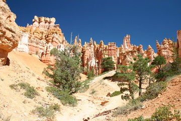 bryce canyon paysage