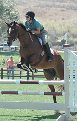 horse & rider jumping a barrier