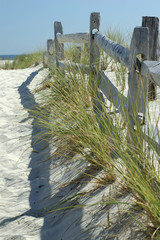 sunny seaside fence