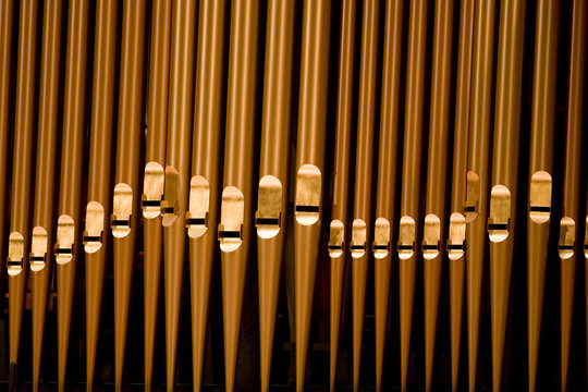 organ pipes